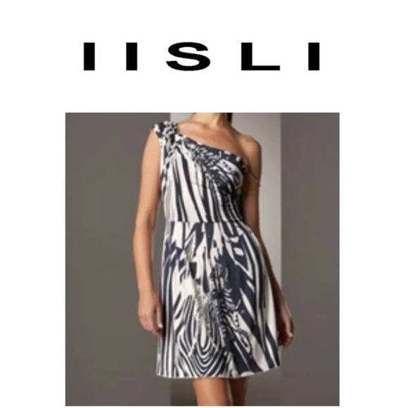 Iisli Dresses & Skirts - Iisli Garbo Zebra Dress